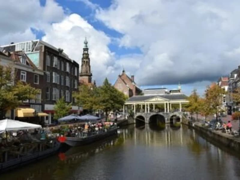 Dakdekker in Leiden | VindInDeBuurt.nl Dakdekker Leiden - Vind een betrouwbare dakdekker in Leiden en omgeving