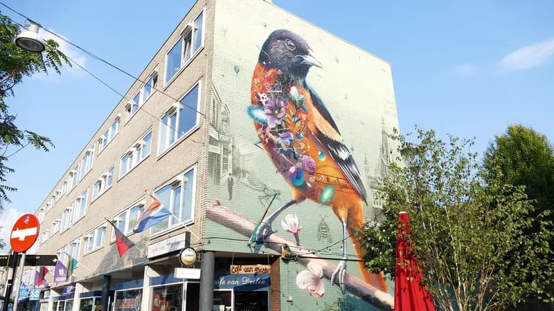 Asbest dak in Nijmegen | VindInDeBuurt.nl Asbest dak Nijmegen - regionale dakdekker voor asbest dak in Nijmegen