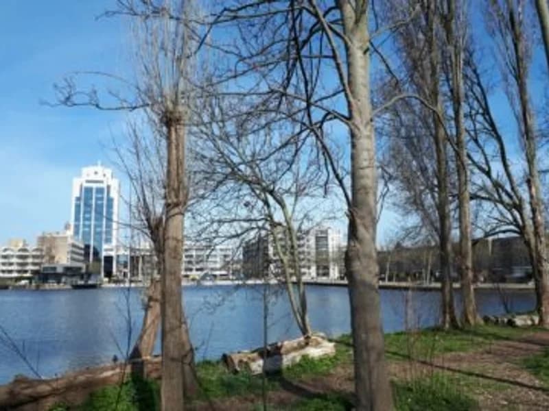 Dakdekker in Zoetermeer | VindInDeBuurt.nl Dakdekker Zoetermeer - Vind een betrouwbare dakdekker in Zoetermeer en omgeving